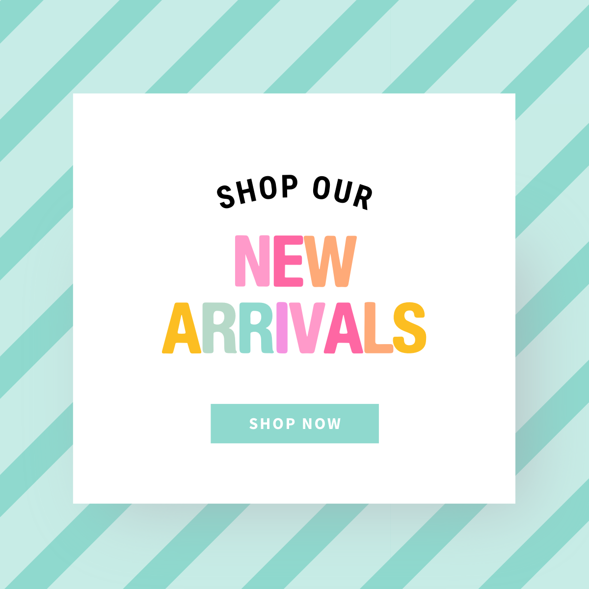 New Arrivals