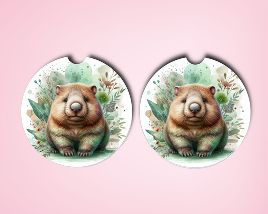 Wally Car Coasters